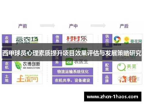 西甲球员心理素质提升项目效果评估与发展策略研究