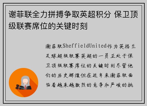 谢菲联全力拼搏争取英超积分 保卫顶级联赛席位的关键时刻