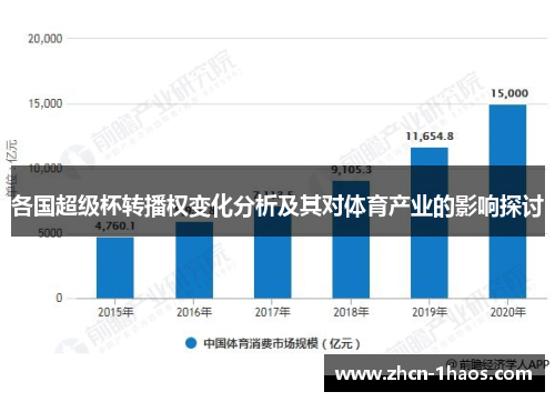 各国超级杯转播权变化分析及其对体育产业的影响探讨