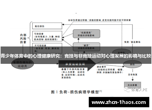 青少年体育中的心理健康研究：竞技与非竞技运动对心理发展的影响与比较