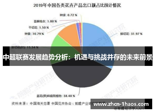 中超联赛发展趋势分析：机遇与挑战并存的未来前景