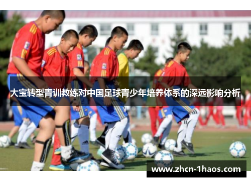 大宝转型青训教练对中国足球青少年培养体系的深远影响分析