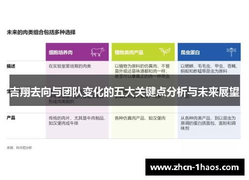 吉翔去向与团队变化的五大关键点分析与未来展望