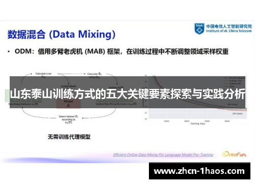 山东泰山训练方式的五大关键要素探索与实践分析