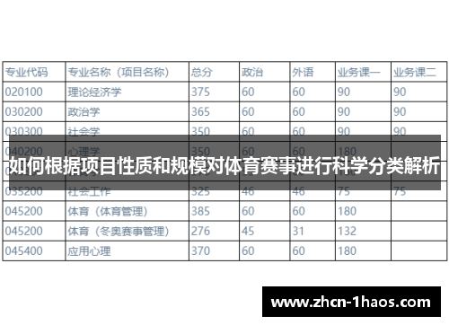 如何根据项目性质和规模对体育赛事进行科学分类解析