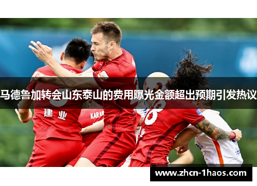 马德鲁加转会山东泰山的费用曝光金额超出预期引发热议 马德鲁加转会山东泰山的费用曝光金额超出预期引发热议