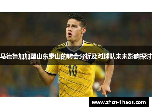 马德鲁加加盟山东泰山的转会分析及对球队未来影响探讨