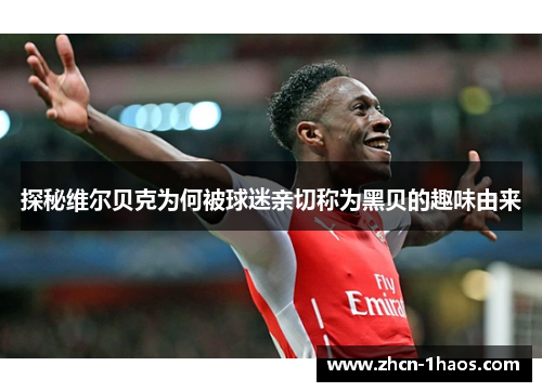 探秘维尔贝克为何被球迷亲切称为黑贝的趣味由来 探秘维尔贝克为何被球迷亲切称为黑贝的趣味由来