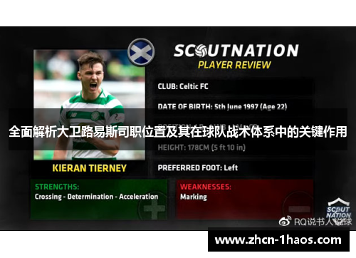全面解析大卫路易斯司职位置及其在球队战术体系中的关键作用 全面解析大卫路易斯司职位置及其在球队战术体系中的关键作用