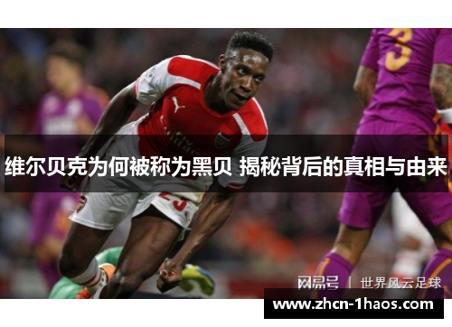 维尔贝克为何被称为黑贝 揭秘背后的真相与由来