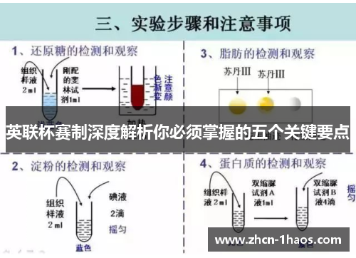 英联杯赛制深度解析你必须掌握的五个关键要点