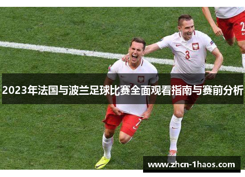 2023年法国与波兰足球比赛全面观看指南与赛前分析