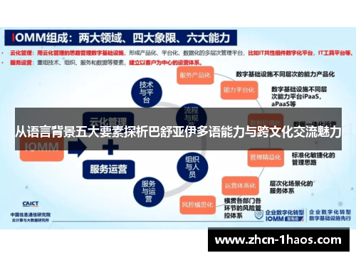 从语言背景五大要素探析巴舒亚伊多语能力与跨文化交流魅力