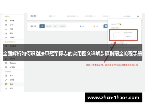 全面解析如何识别法甲冠军标志的实用图文详解步骤指南全流程手册