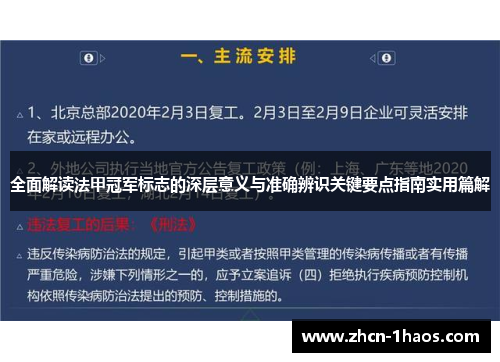 全面解读法甲冠军标志的深层意义与准确辨识关键要点指南实用篇解
