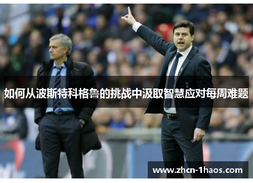 如何从波斯特科格鲁的挑战中汲取智慧应对每周难题