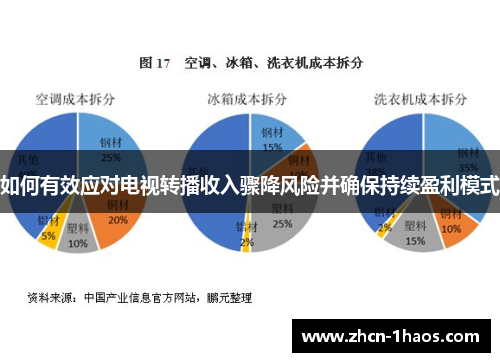 如何有效应对电视转播收入骤降风险并确保持续盈利模式