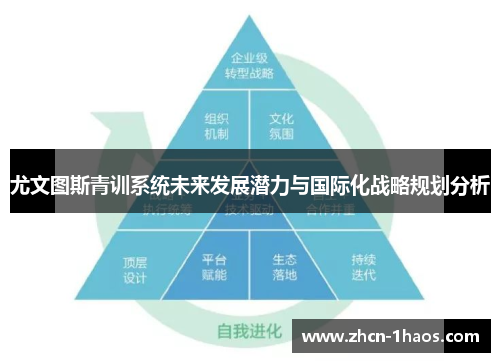 尤文图斯青训系统未来发展潜力与国际化战略规划分析