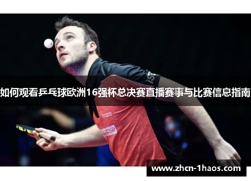 如何观看乒乓球欧洲16强杯总决赛直播赛事与比赛信息指南
