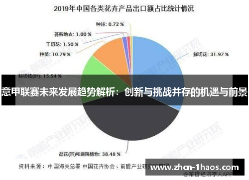 意甲联赛未来发展趋势解析：创新与挑战并存的机遇与前景