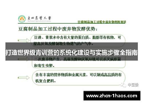 打造世界级青训营的系统化建设与实施步骤全指南
