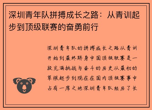 深圳青年队拼搏成长之路：从青训起步到顶级联赛的奋勇前行